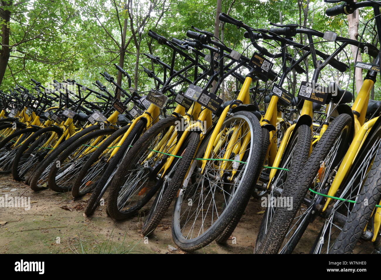 ofo cities
