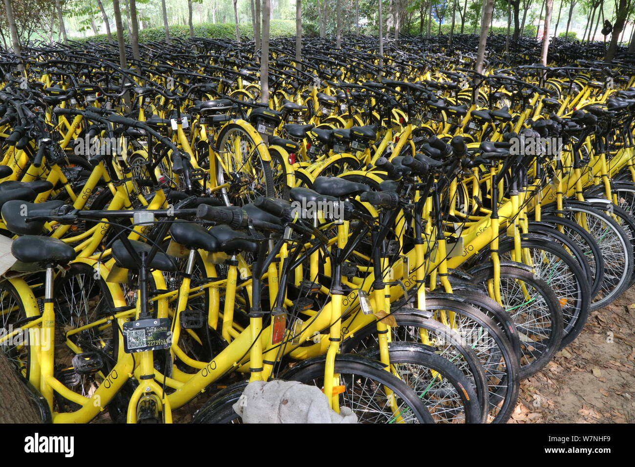 ofo cities