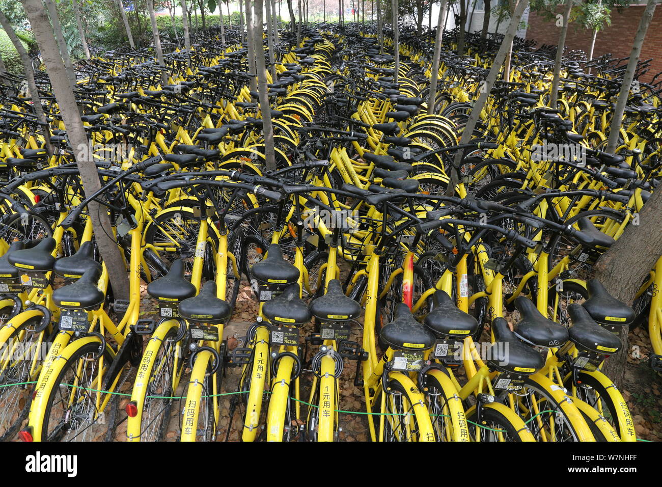ofo bike warehouse sale