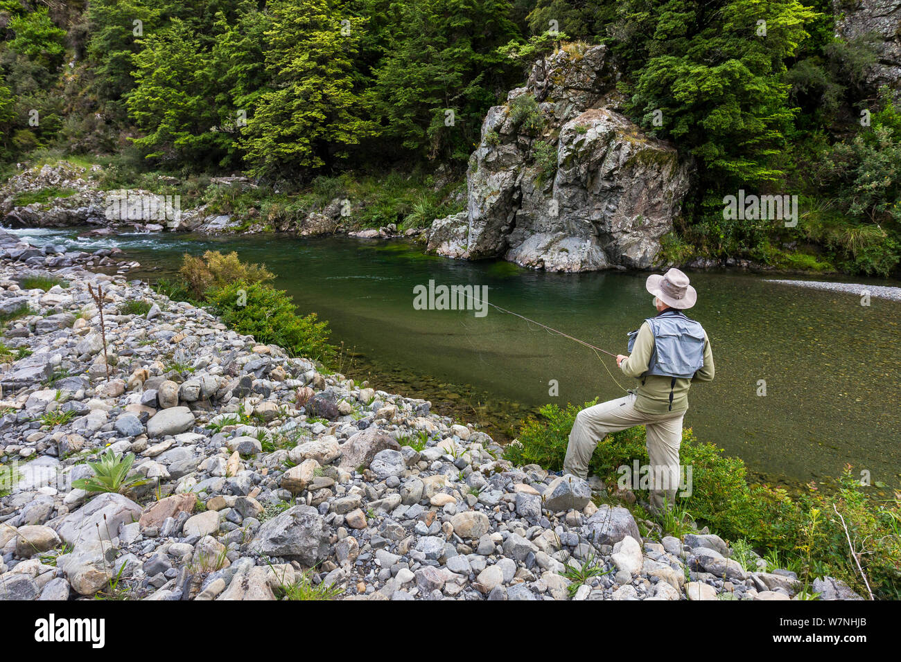 A fly fisherman searches for trout on a freestone river, North Canterbury, South Island, New Zealand. December, 2011. Stock Photo