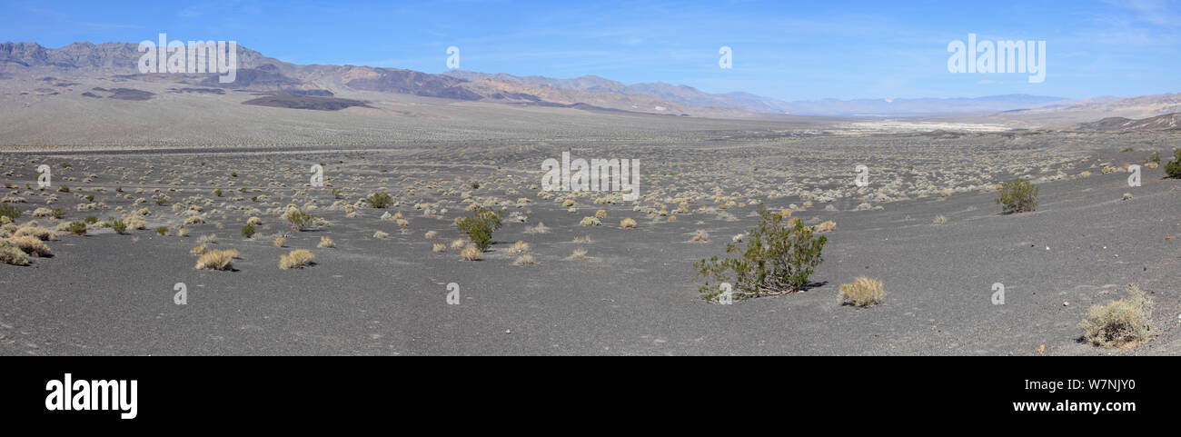 Desert scrub land panorama, Death Valley, California, USA Stock Photo