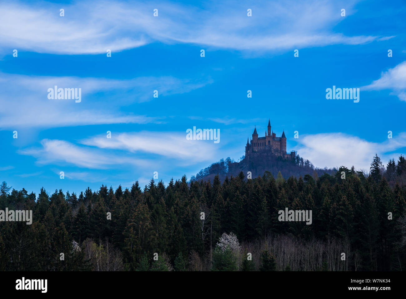 Germany, Hohenzollern castle on a hill behind green conifer edge of the ...