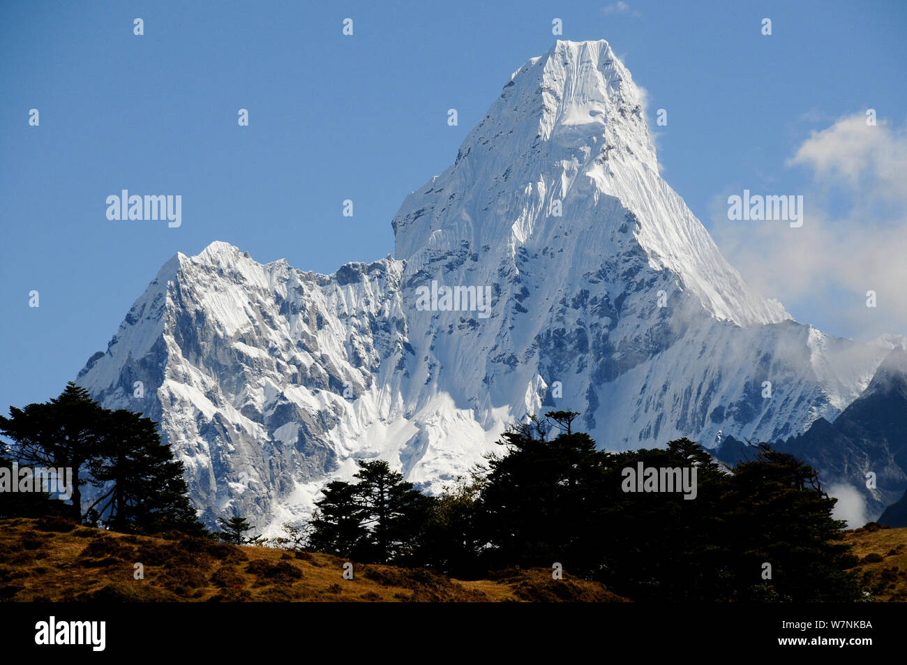 Ama Dablam (6856m), Sagarmatha National Park (World Heritage UNESCO). Khumbu / Everest Region, Nepal, Himalaya, October 2011. Stock Photo