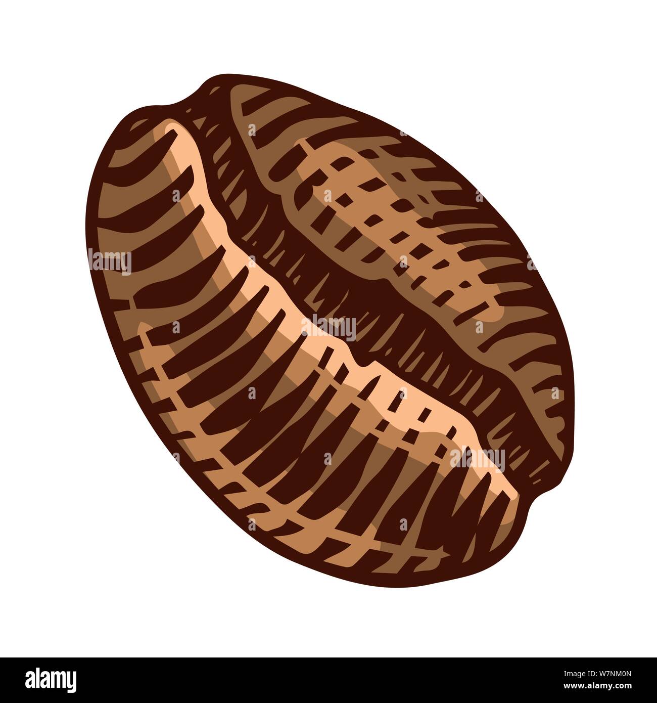 Coffee bean in vintage style. Hand drawn engraved retro sketch for ...
