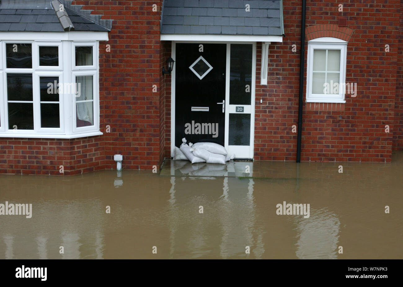 Flooding of newly built housing in the Glasdir estate, Ruthin, Vale of Clwyd, Denbighshire, Wales, UK.  This is an area at risk of flooding and therefore difficult to obtain House insurance. 27/11/ 2012 Stock Photo