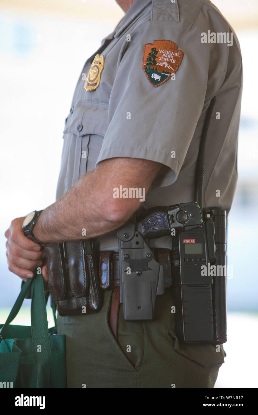 Park Ranger carrying taser gun in Mammoth Hot Springs, Yellowstone National Park, USA, where rutting bull elk come into town and tourists can be injured. October 2008. Stock Photo