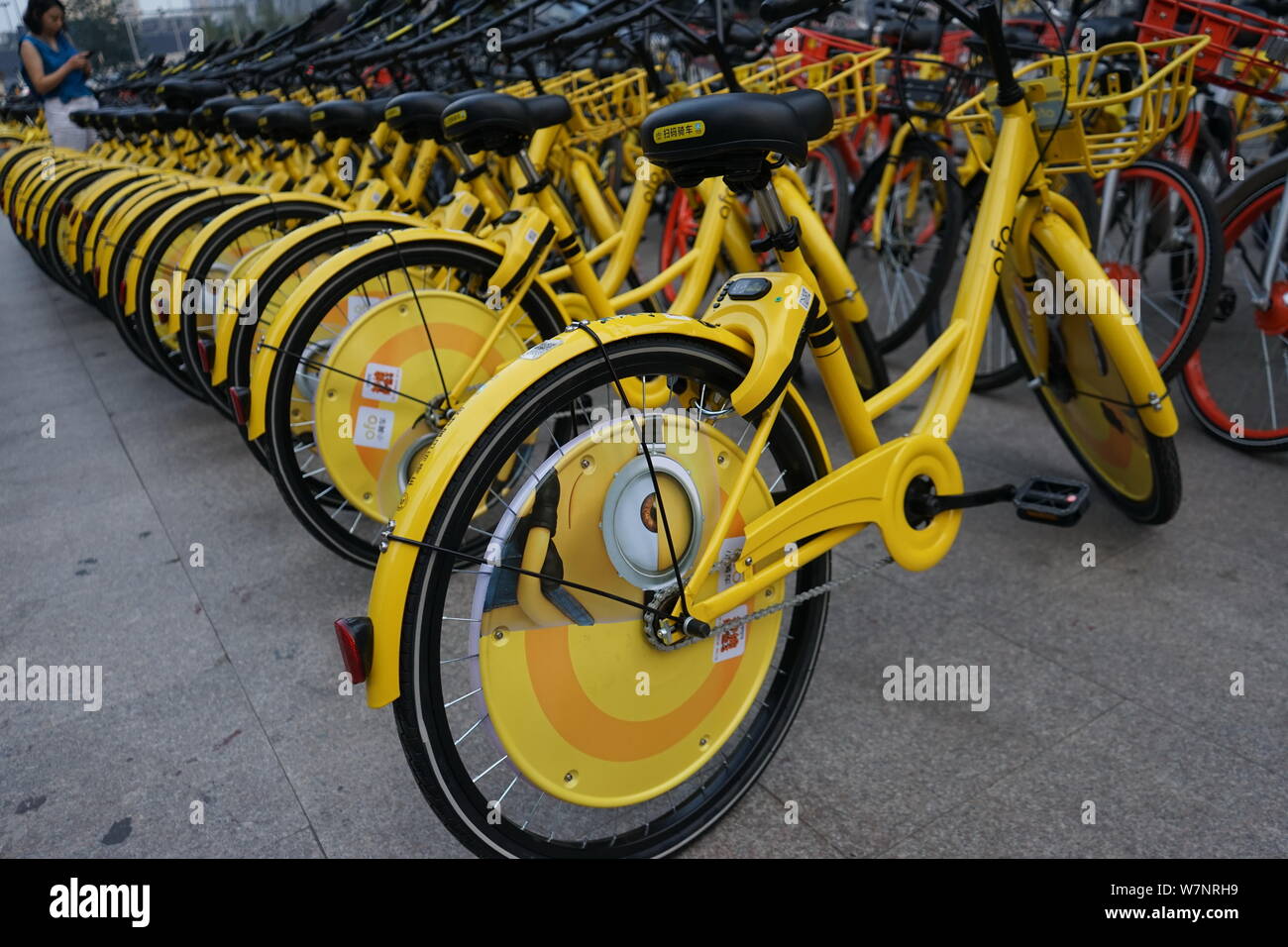 ofo near me