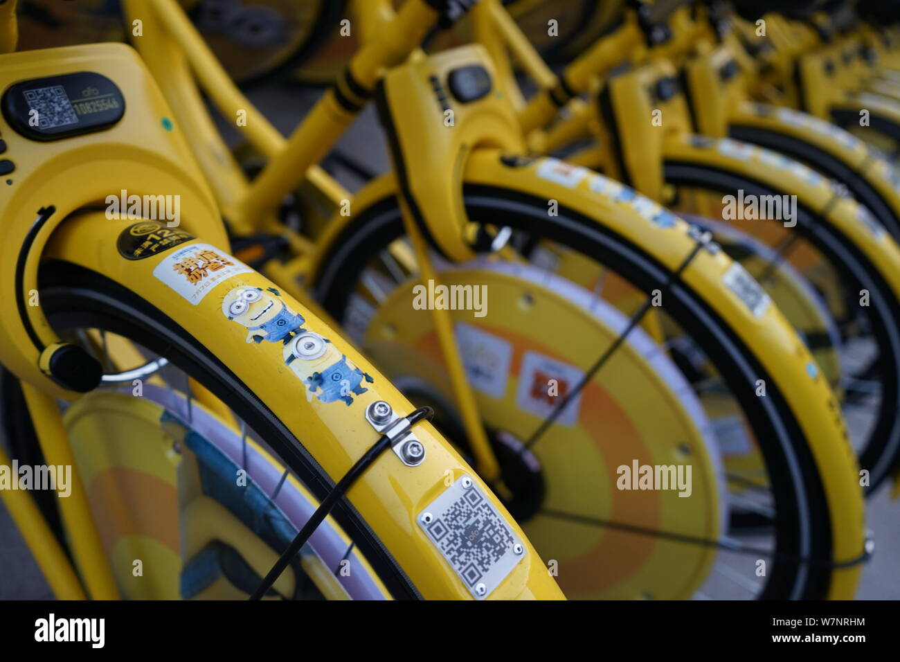 ofo near me