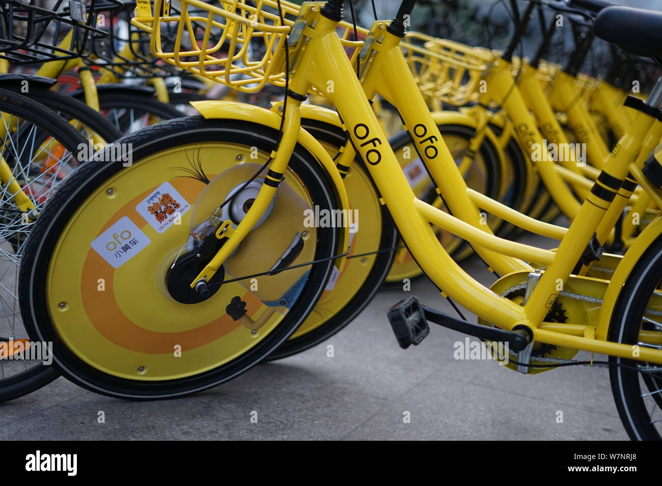 ofo stock
