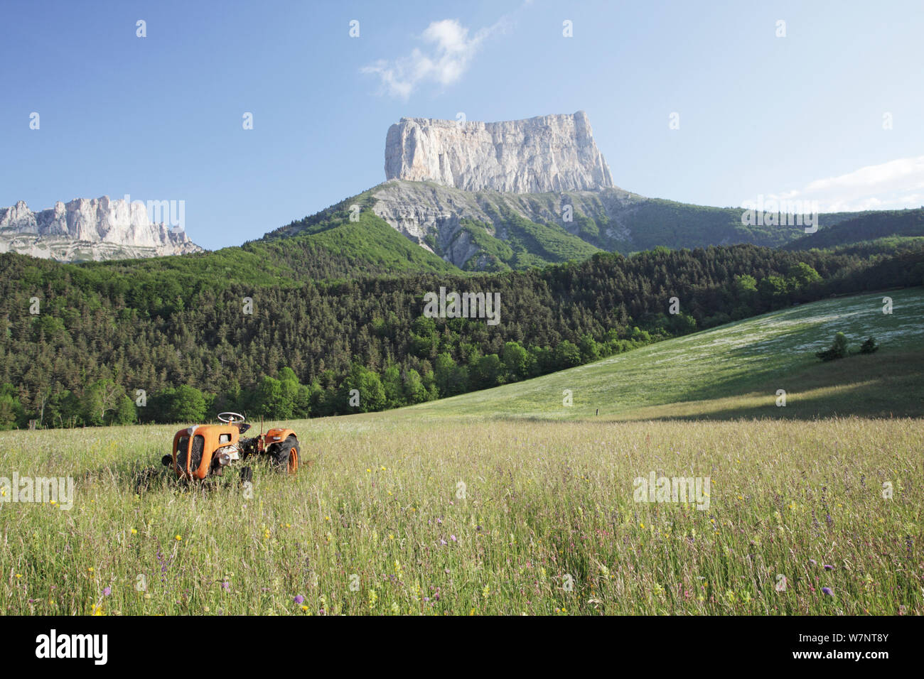 View of Mont Aiguille, with wildflower meadow and tractor in the foreground, Richardiere near Chichilianne, Parc Naturel Regional du Vercors, France, June 2012. Stock Photo