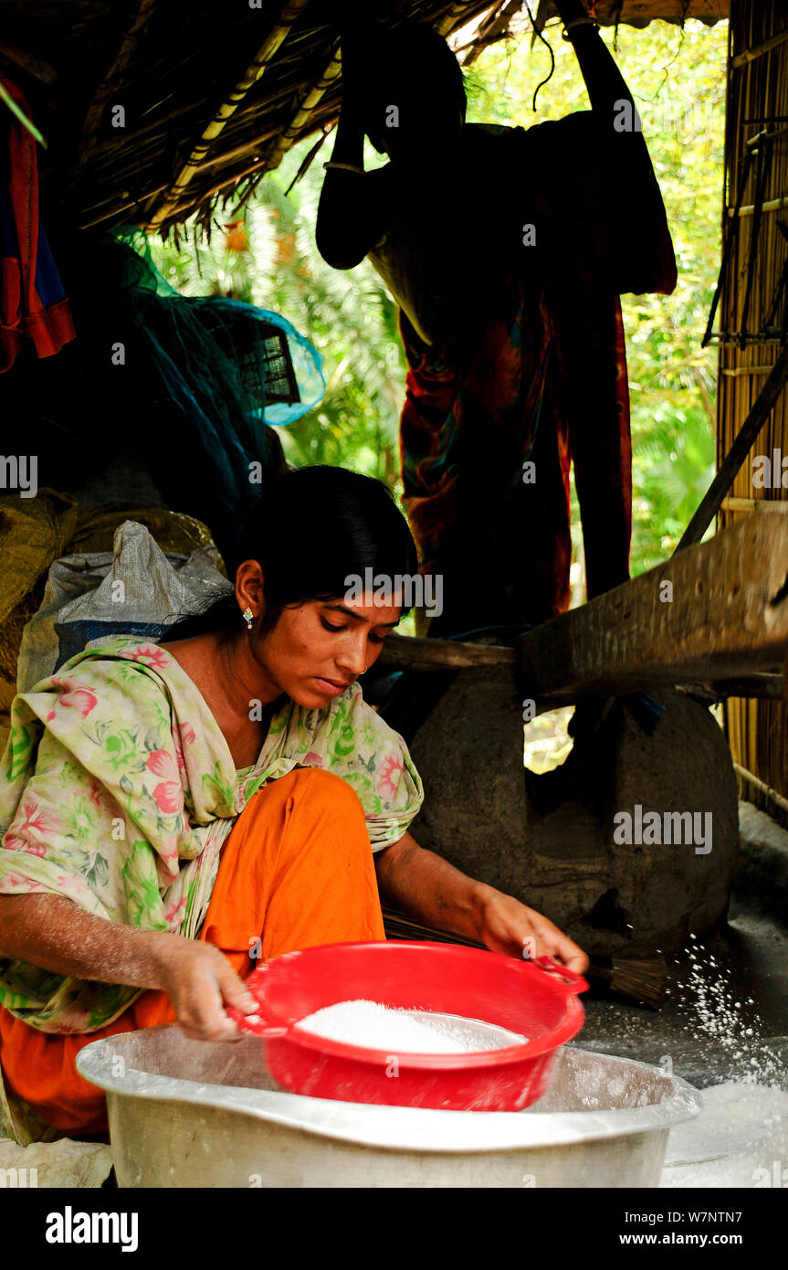 A woman sifting rice, the Sundarbans National Park, UNESCO World Heritage Site. June 2012. Stock Photo