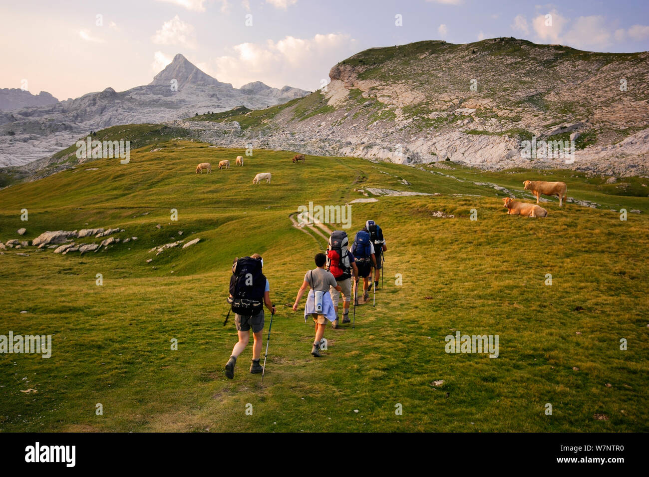 People Hiking at sunrise on the trail to Anie peak (2507 m) in Belagua valley, Pyrenees, Navarra, Spain Stock Photo