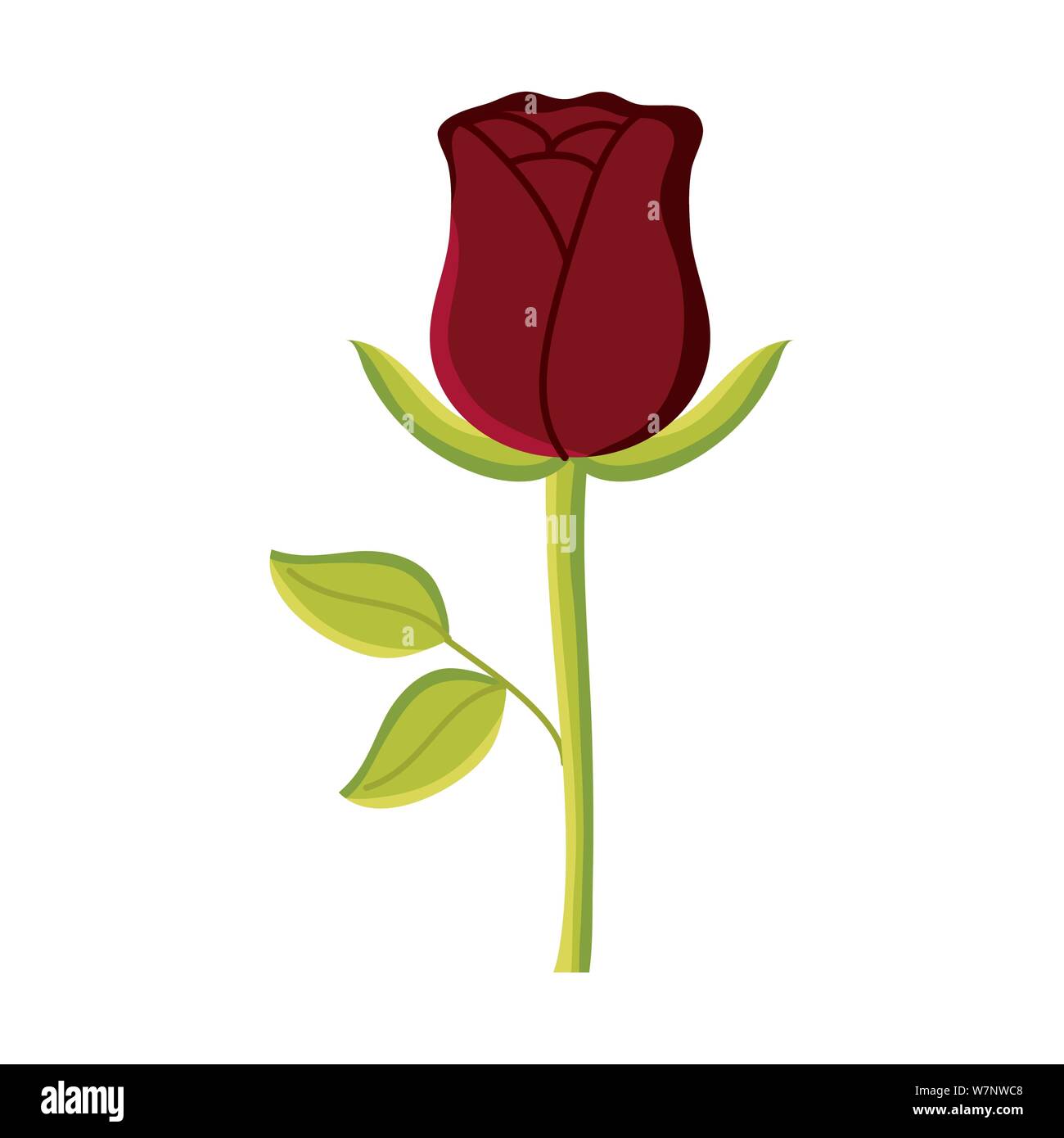 rose flower garden nature icon vector illustration design Stock Vector ...