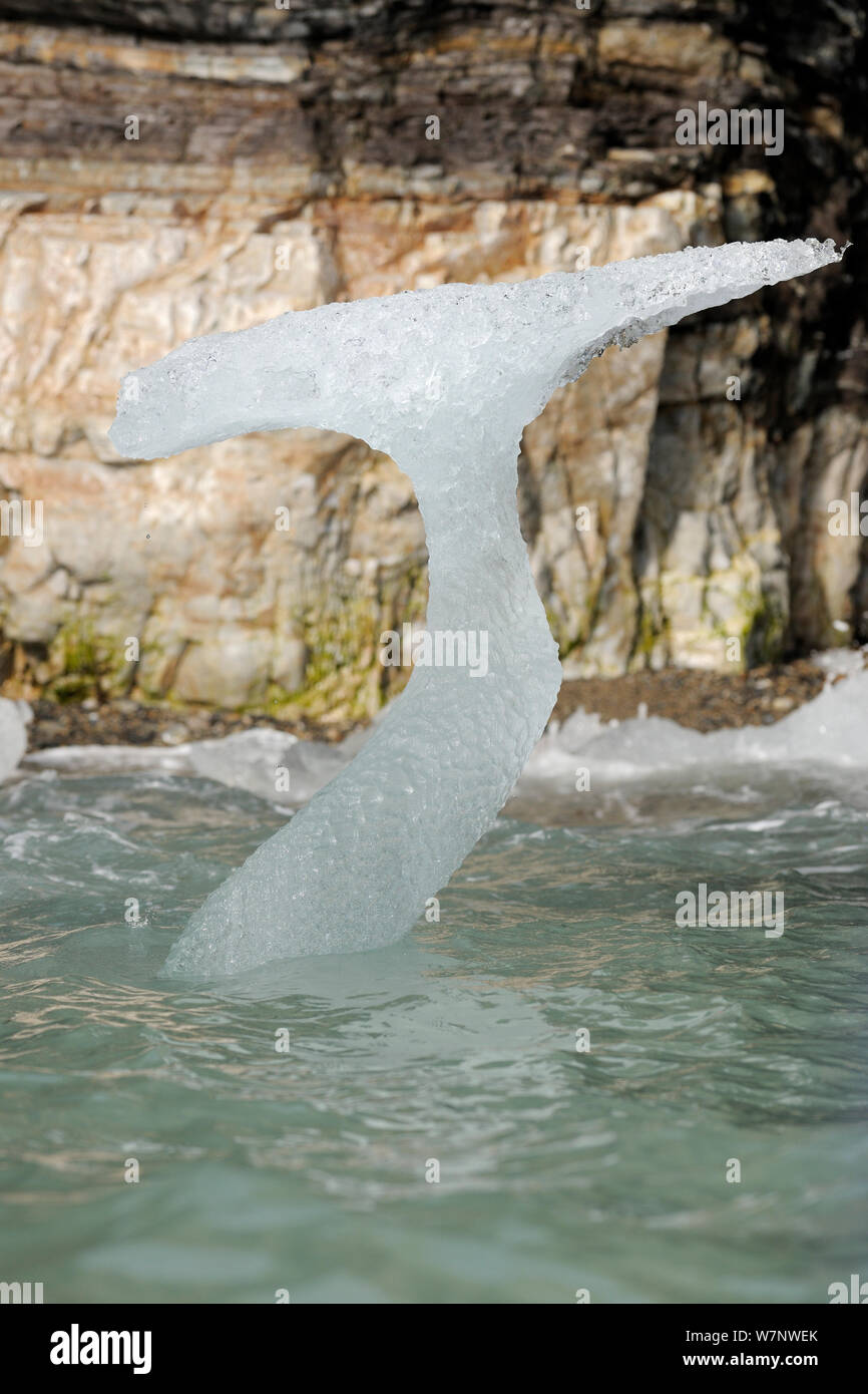 Abstract ice formation, like whale's tail, in coastal waters, Svalbard, Norway July 2011 Stock Photo