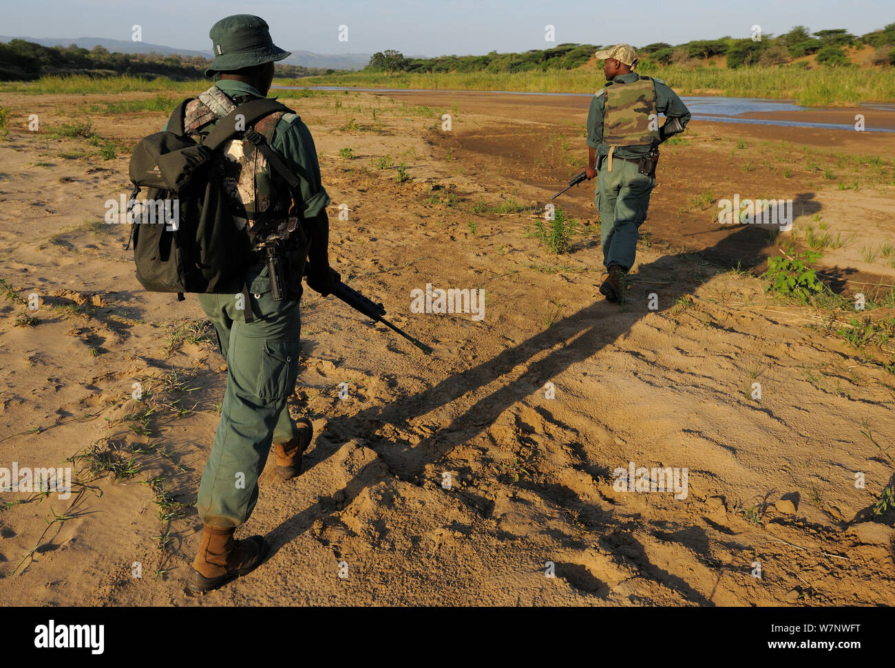 The anti poaching patrol in action, walking across landscape, iMfolozi National Park, South Africa October 2011 Stock Photo