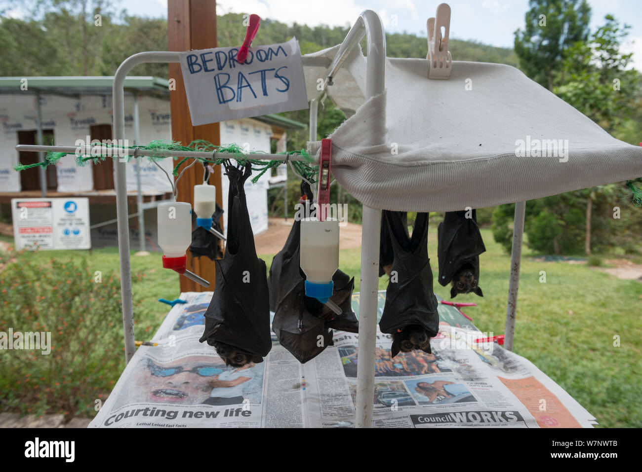 Aggregate 60+ goon bags australia best in.duhocakina