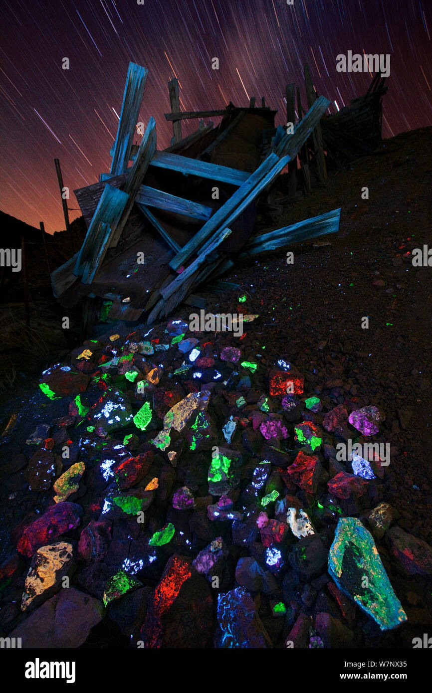 A wide variety of fluorescent minerals including scheelite (blue/white), calcite (red), silica coatings containing uranyl ions (green), fluorite (pink), and 'desert varnish' (yellow/orange), populate some of the mine tailings near Darwin, California, November. Taken with short wave ultraviolet light to illuminate the scene during a 20 minute long exposure. Stock Photo