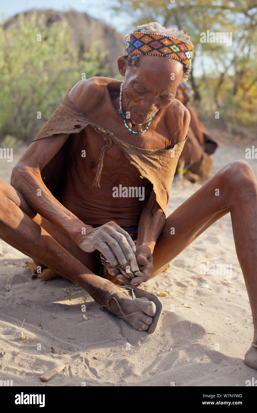 A Zu/'hoasi Bushman Sangoma (Zulu healer) prepares to throw special wooden sticks into the sand and ask for guidance from ancestral spirits before setting out to hunt in the Kalahari, Botswana. April 2012. Stock Photo