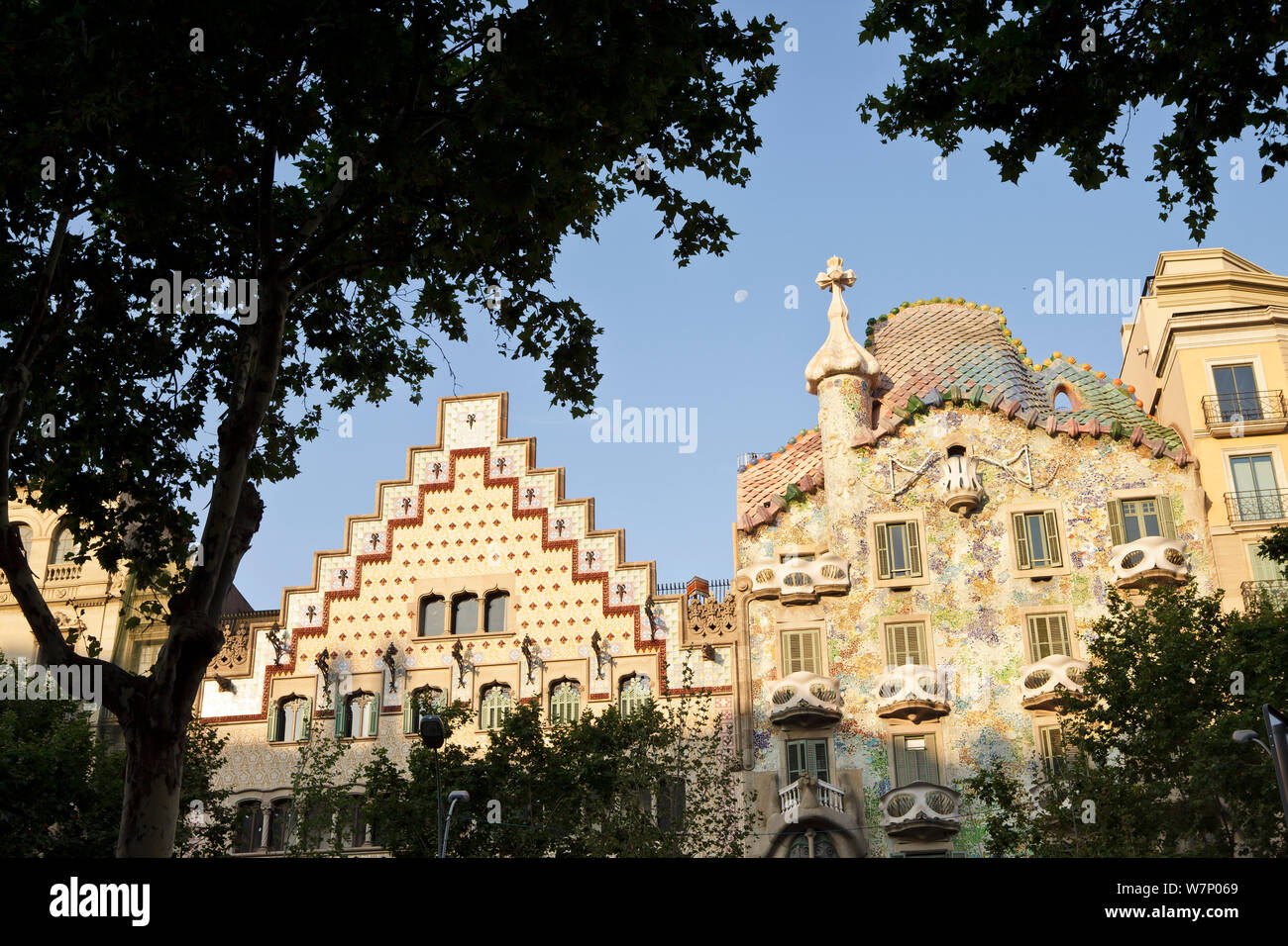 Two modernist buildings : left, Casa Amatller by architect Puig i Cadafalch and Casa Batll on the right by architect Antoni Gaudi, with tree in the foreground, Eixample District, Barcelona City, Spain, July 2010 Stock Photo