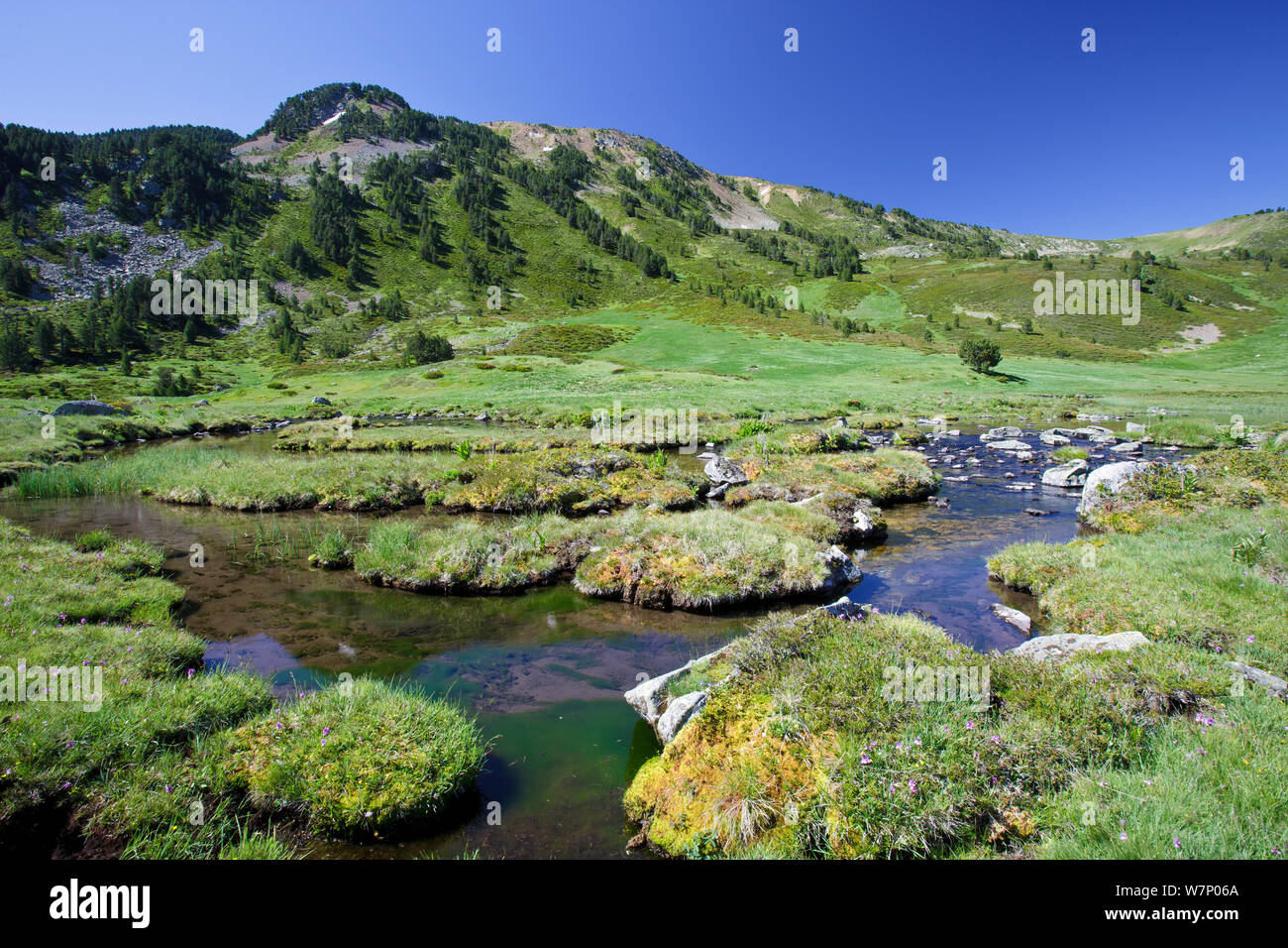 Clots de Rialba, Alt Pirineu Natural Park, High Pyrenees, Lleida Province, Spain, July Stock Photo