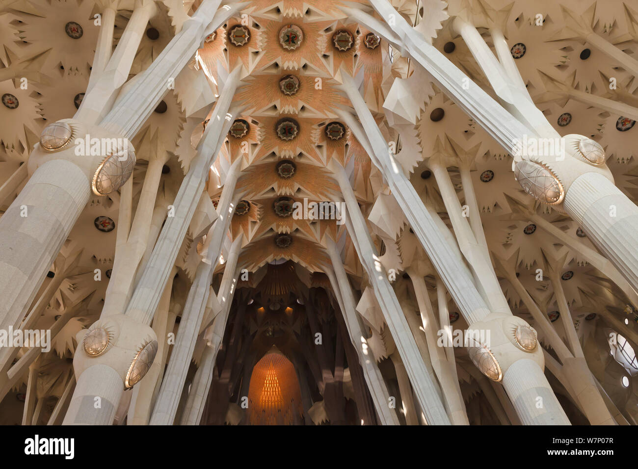 Basilica and Expiatory Church of the Holy Family / Basílica y Templo