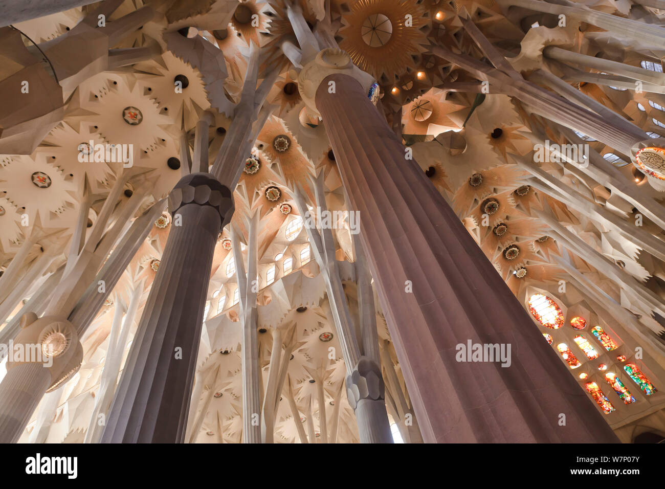 Basilica and Expiatory Church of the Holy Family / Basílica y Templo