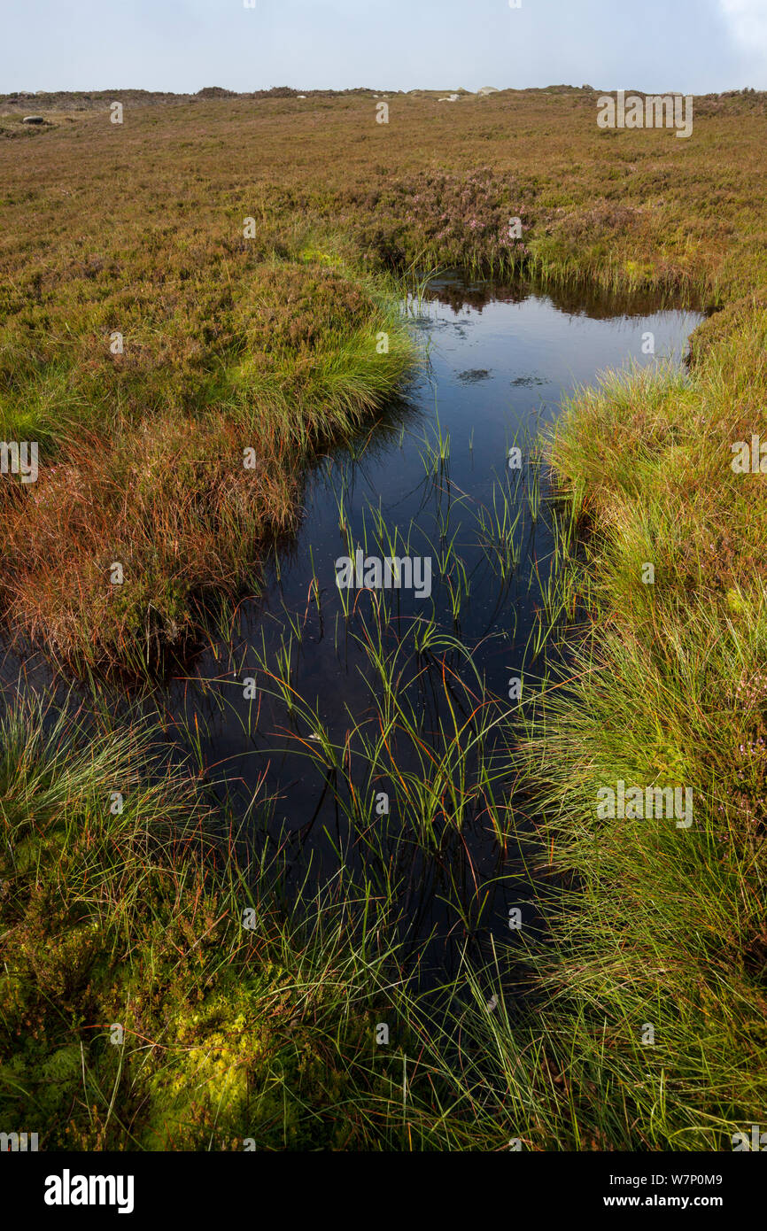 A moorland pond on Derwent Edge, Peak District National Park, Derbyshire, UK. September. Stock Photo