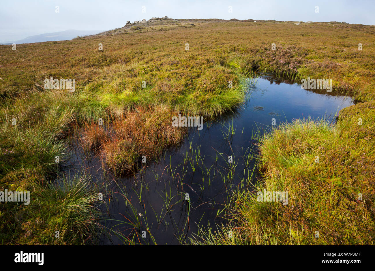 A moorland pond on Derwent Edge, Peak District National Park, Derbyshire, UK September. Stock Photo
