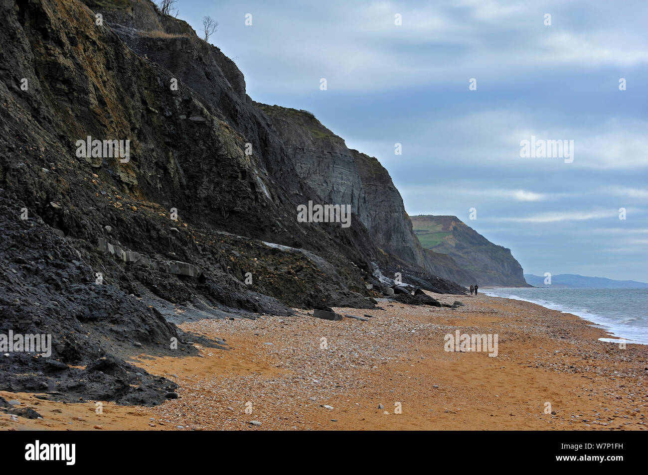Black Ven landslide on beach between Lyme Regis and Charmouth along the Jurassic Coast, Dorset, UK, November 2012 Stock Photo