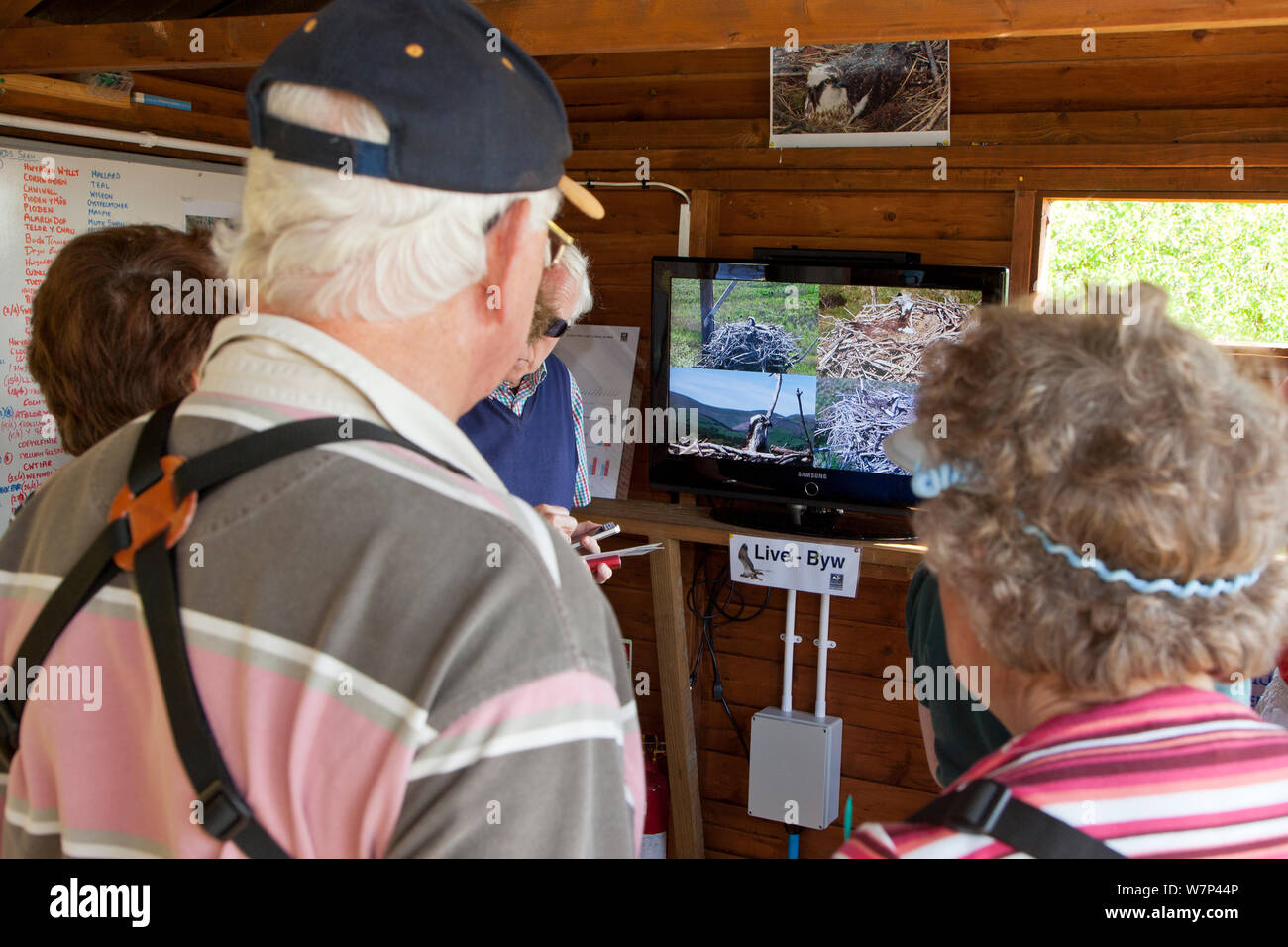 Visitors watching television screen showing the Dyfi Osprey Project live nest cam, Powys, Wales, UK, May 2012. Stock Photo
