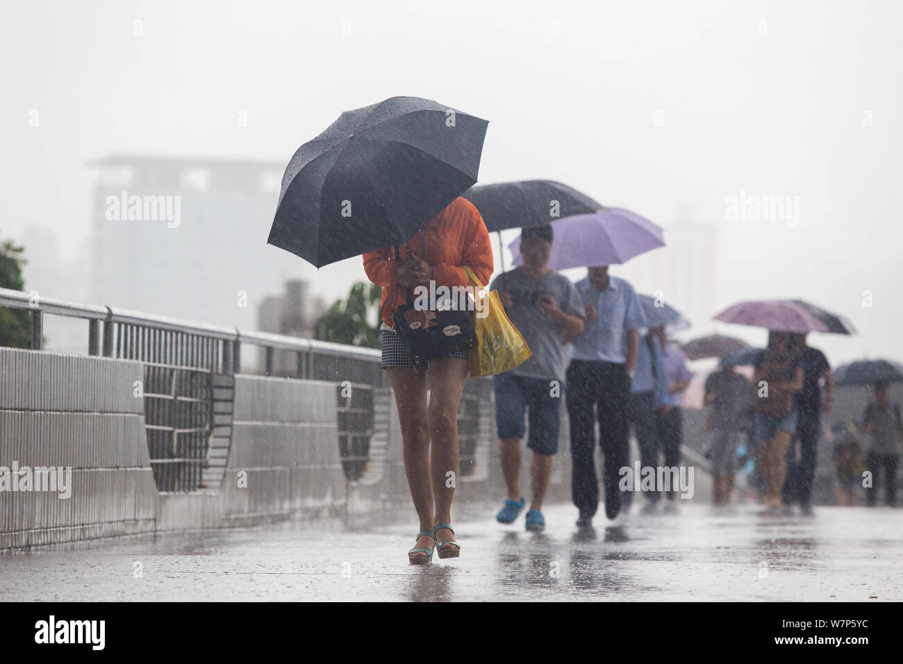 Chinese commuters struggle with their umbrellas in heavy rain and strong wind caused by Typhoon Merbok on a road in Shenzhen city, south China's Guang Stock Photo