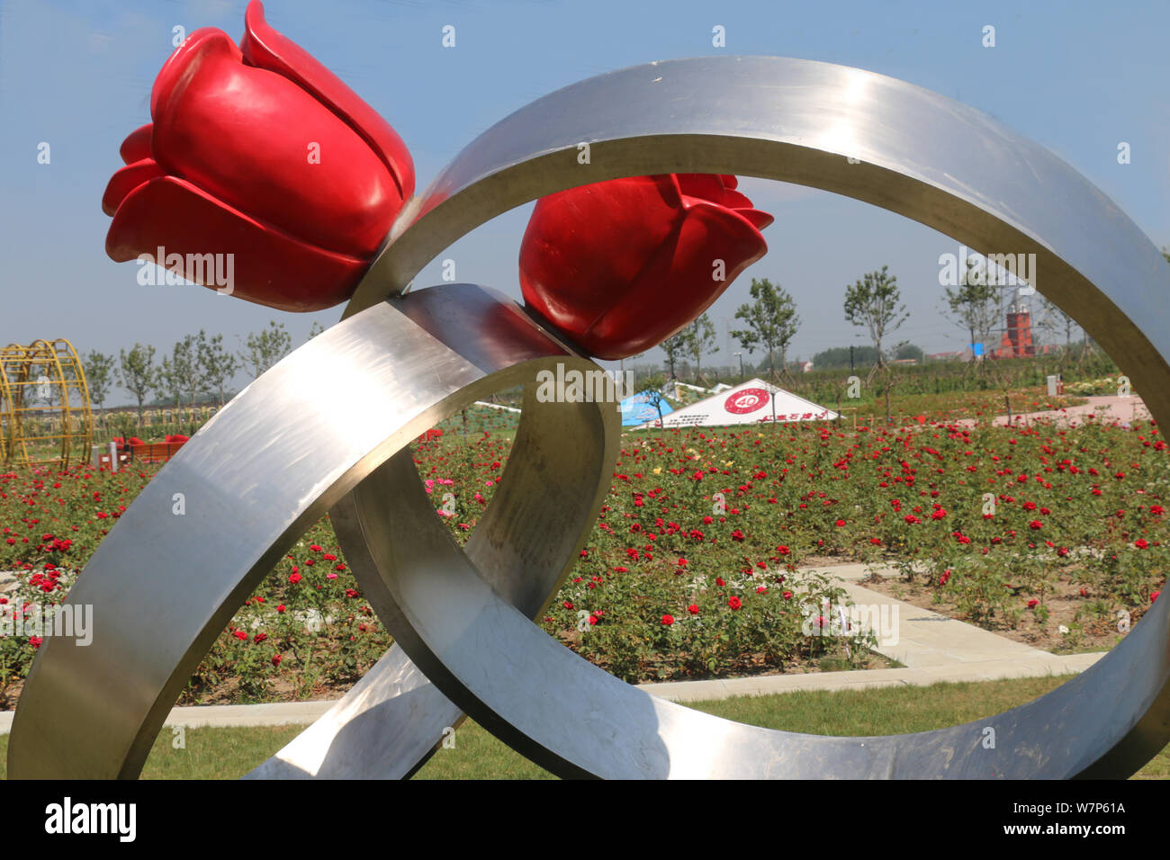 Jiangsu Jiangsu China 7th Aug 2019 Jiangsu China A Romantic Rose Garden In The Garden Of Eden In Guanyun County Jiangsu Province Welcomes A Large Number Of Tourists On August 6 2019 As