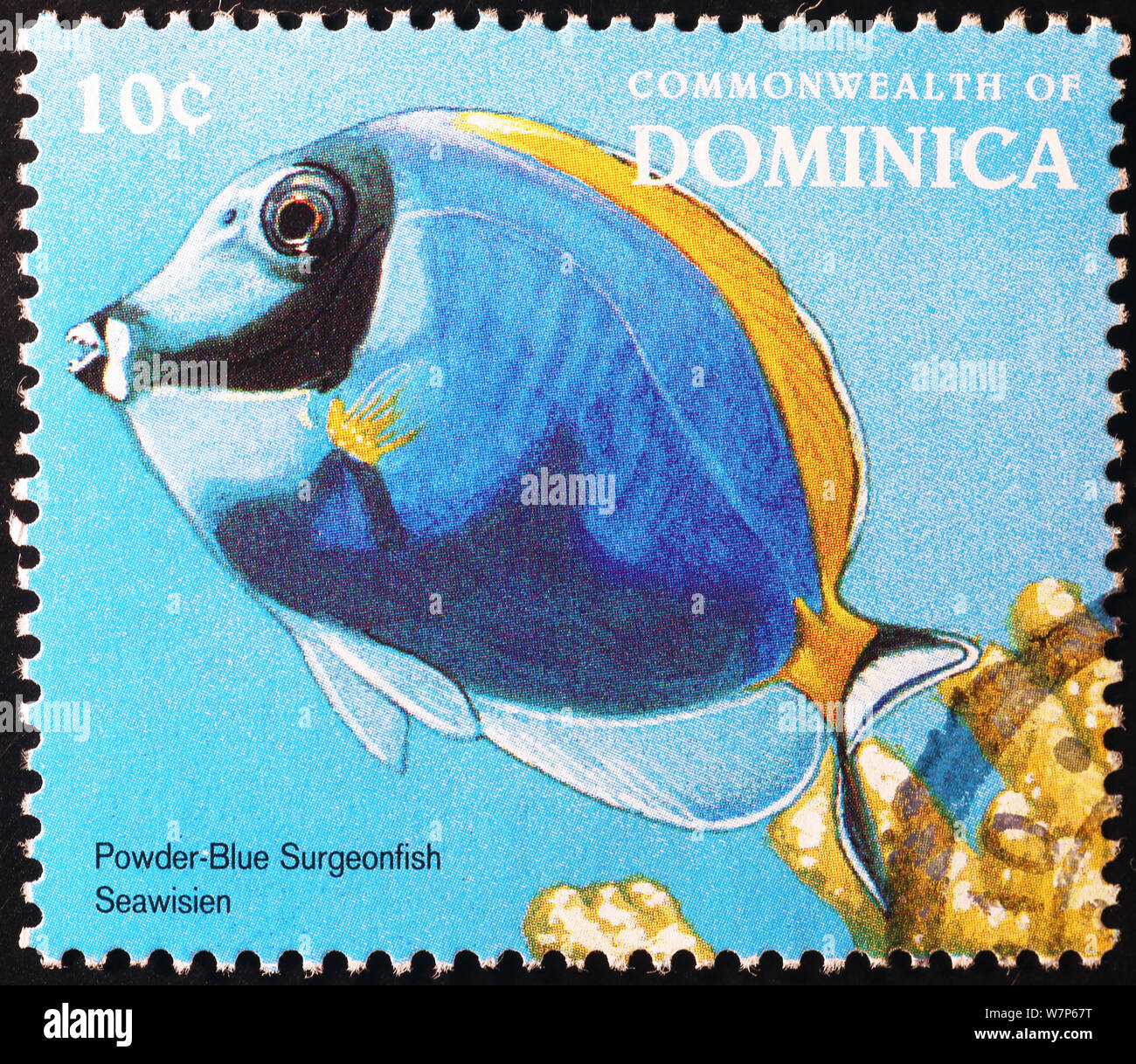 Tropical blue fish on postage stamp of Dominica Stock Photo
