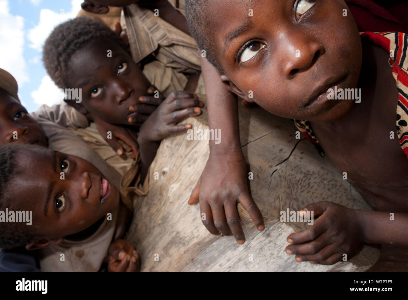 Mozambican children interested in camera. Pemba to Montepuez highway, north-eastern Mozambique, November 2011. Stock Photo