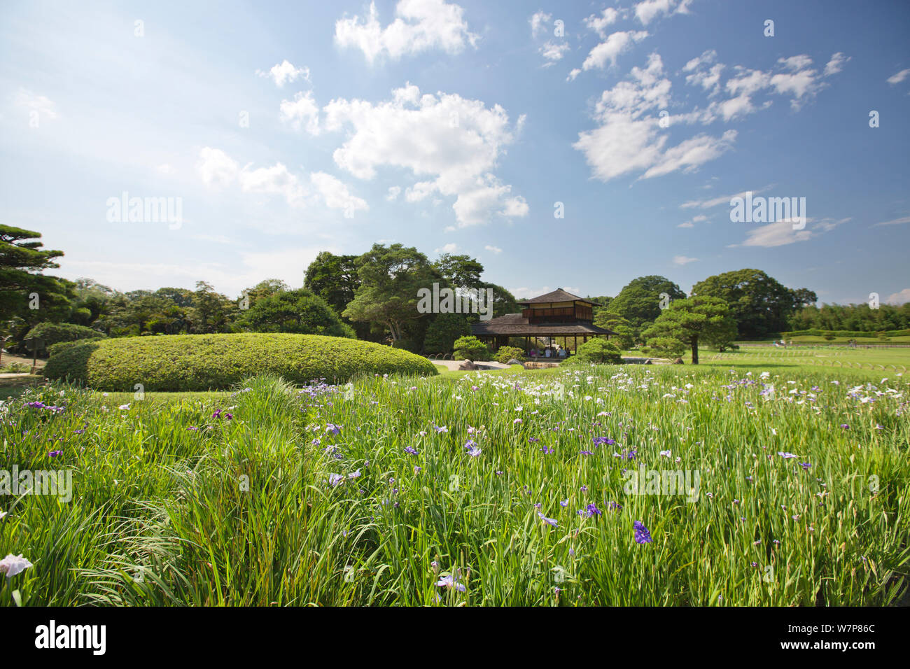 Koraku-en Garden, Kurashiki, Japan. Stock Photo