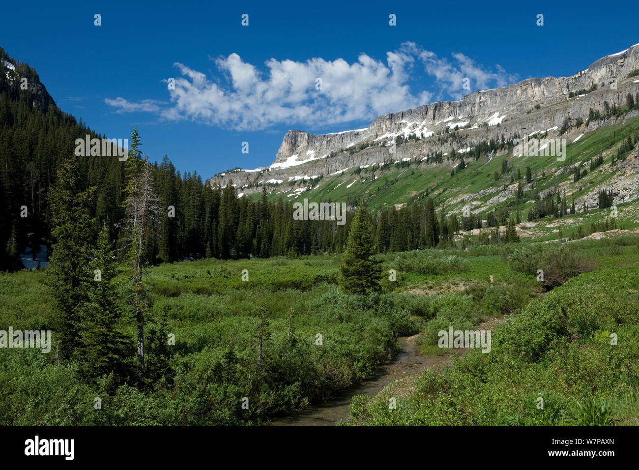 Death Canyon in Grand Teton National Park. Wyoming, USA, July 2011 Stock Photo