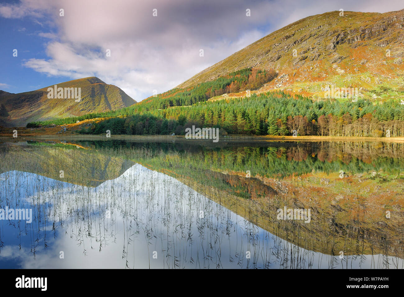 Cummeenduff Lake and Broaghnabinnia mountain, Black Valley, Killarney, County Kerry, Ireland, November 2011 Stock Photo