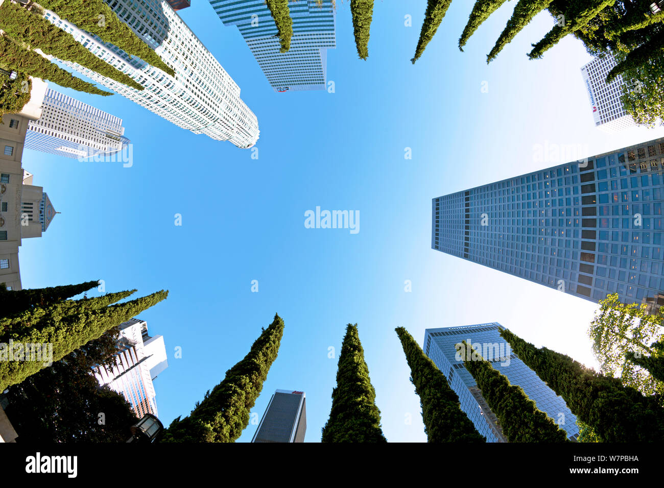 Arty view looking up at skyscrapers and trees in downtown Los Angeles, California, USA, July 2011 Stock Photo
