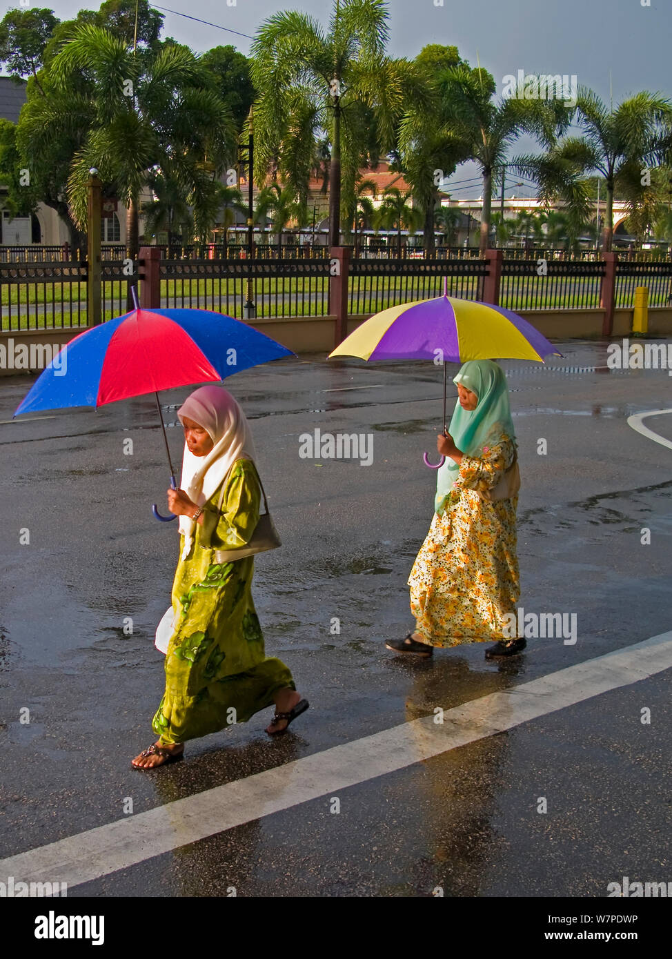Local muslim woman walking in the rain holding colourful umbrellas, Kota Bharu, Kelantan State, Malaysia 2008 Stock Photo
