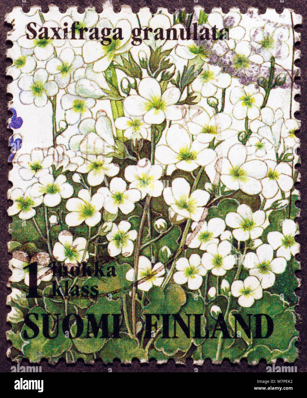 White wild flowers on finnish postage stamp Stock Photo