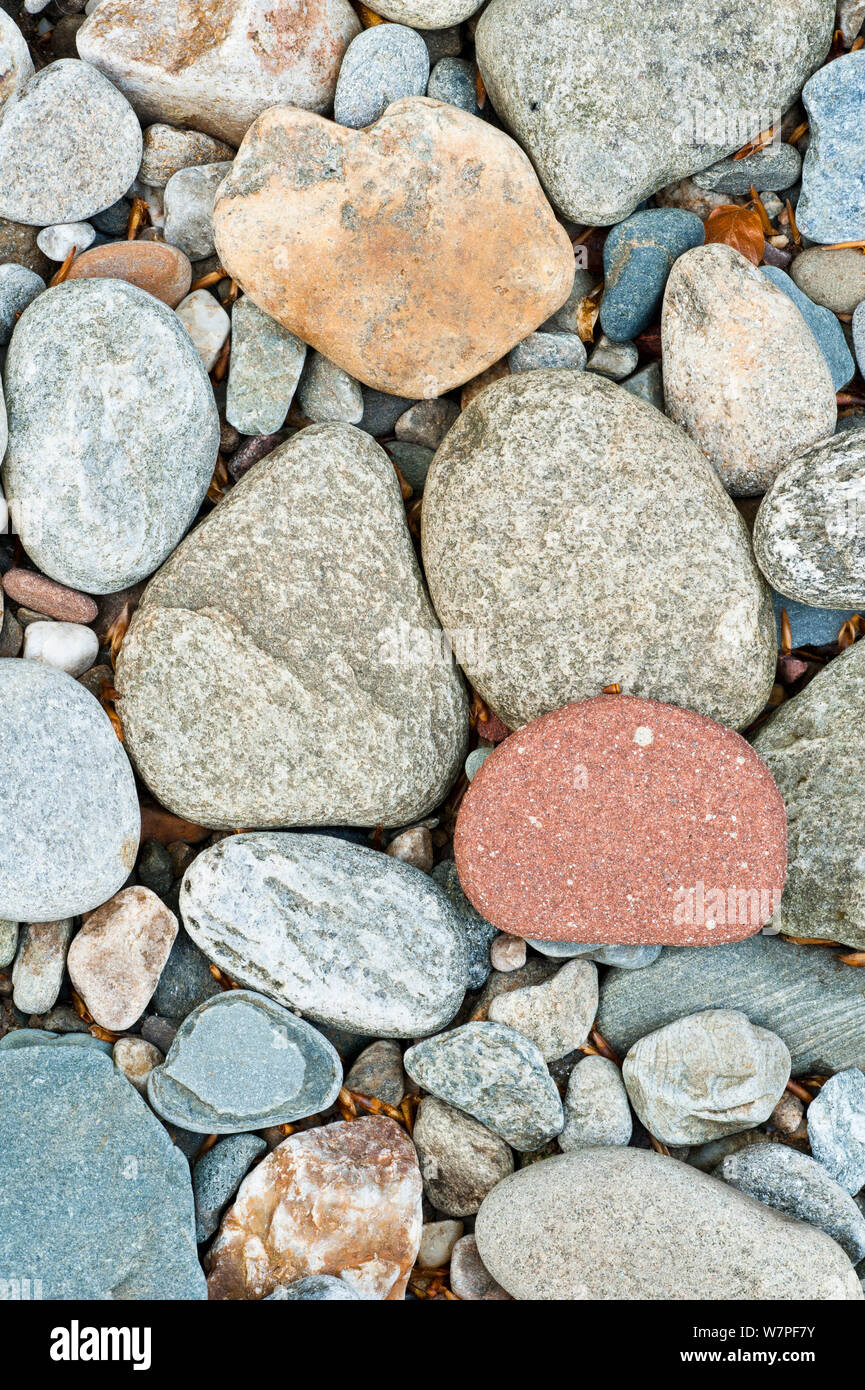 Dry stones in stream bed. Scotland. Stock Photo