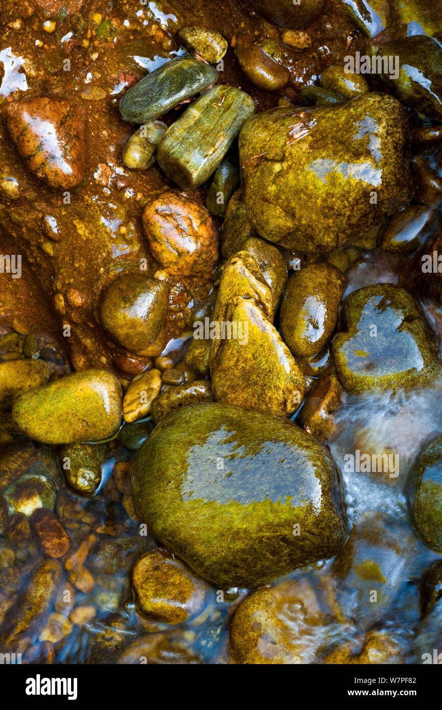 Wet stones in stream bed. Scotland. Stock Photo