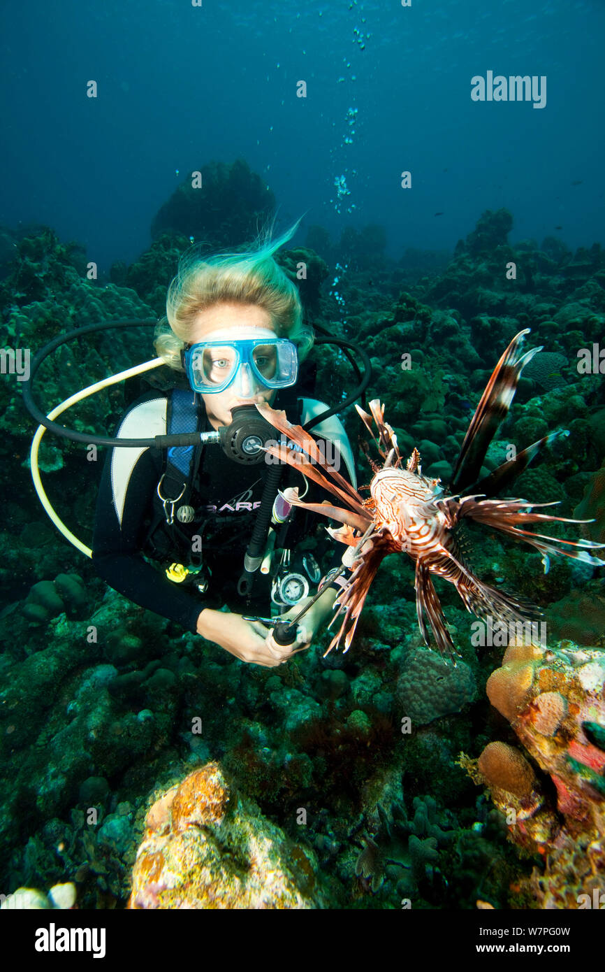 buddy dive bonaire on Page 3 Bonaire Diving High Resolution Stock Photography And Images Alamy