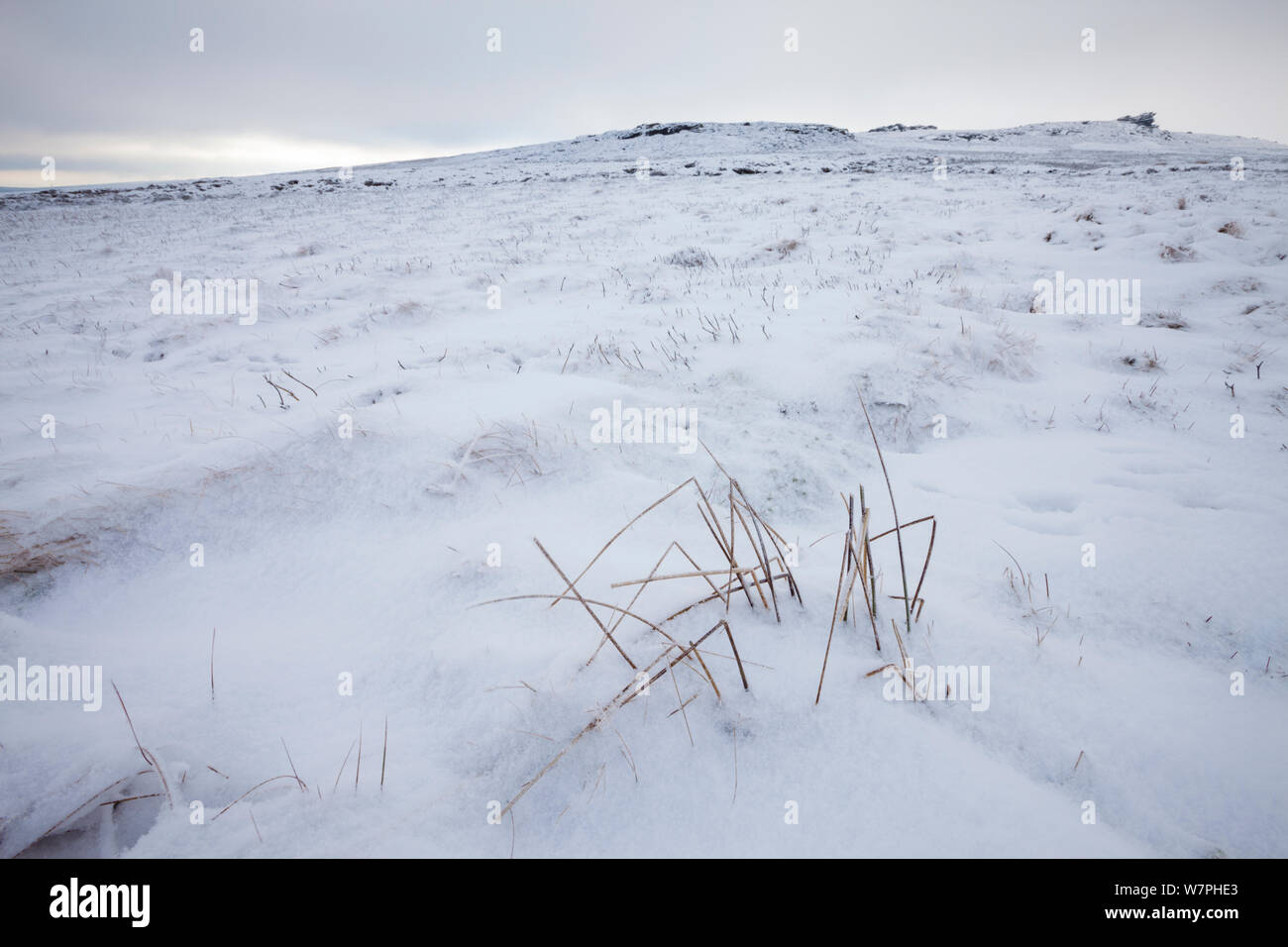 Heather moorland in winter, below Back Tor, Derwent Edge, Peak District National Park, UK. January. Stock Photo