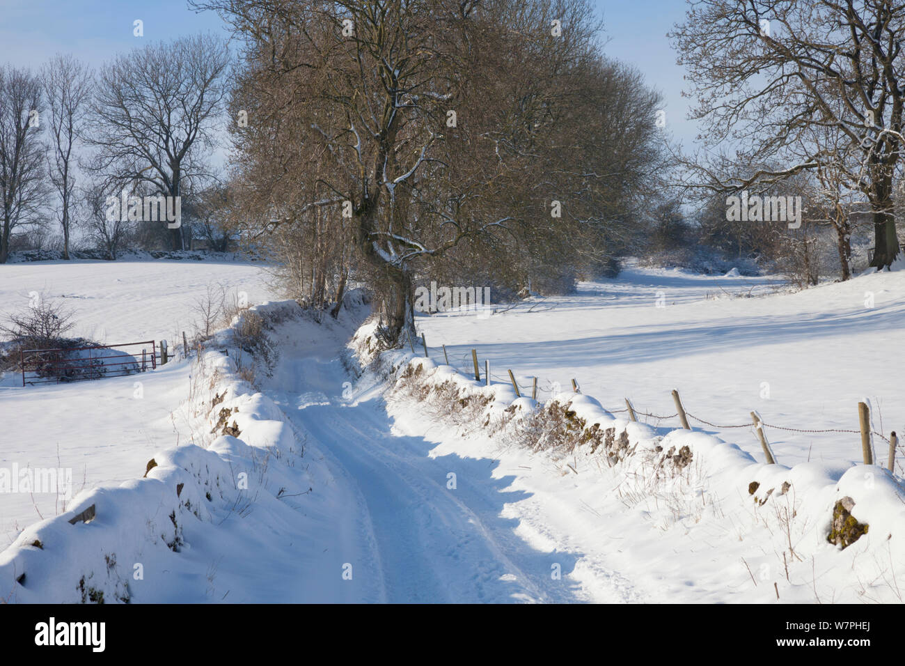 Country lane / track leading out of Bonsall village after heavy snow, Peak District National Park, Derbyshire, UK. January. Stock Photo