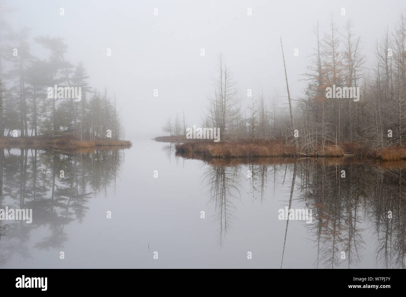 Usa maine baxter state park hires stock photography and images Alamy