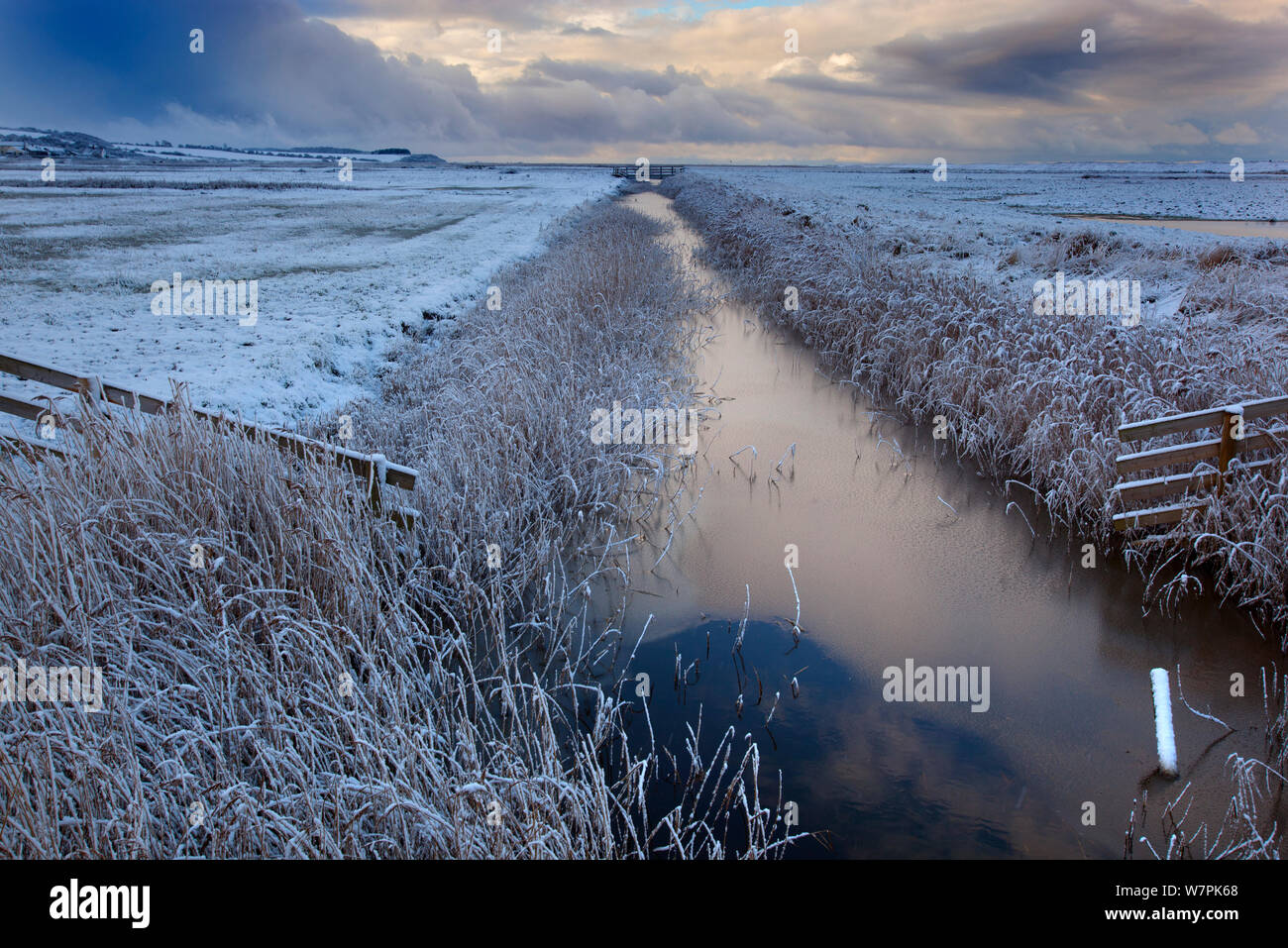Drainage dyke and grazing marshes covered in snow and frost, Salthouse marshes, Norfolk, January 2013 Stock Photo