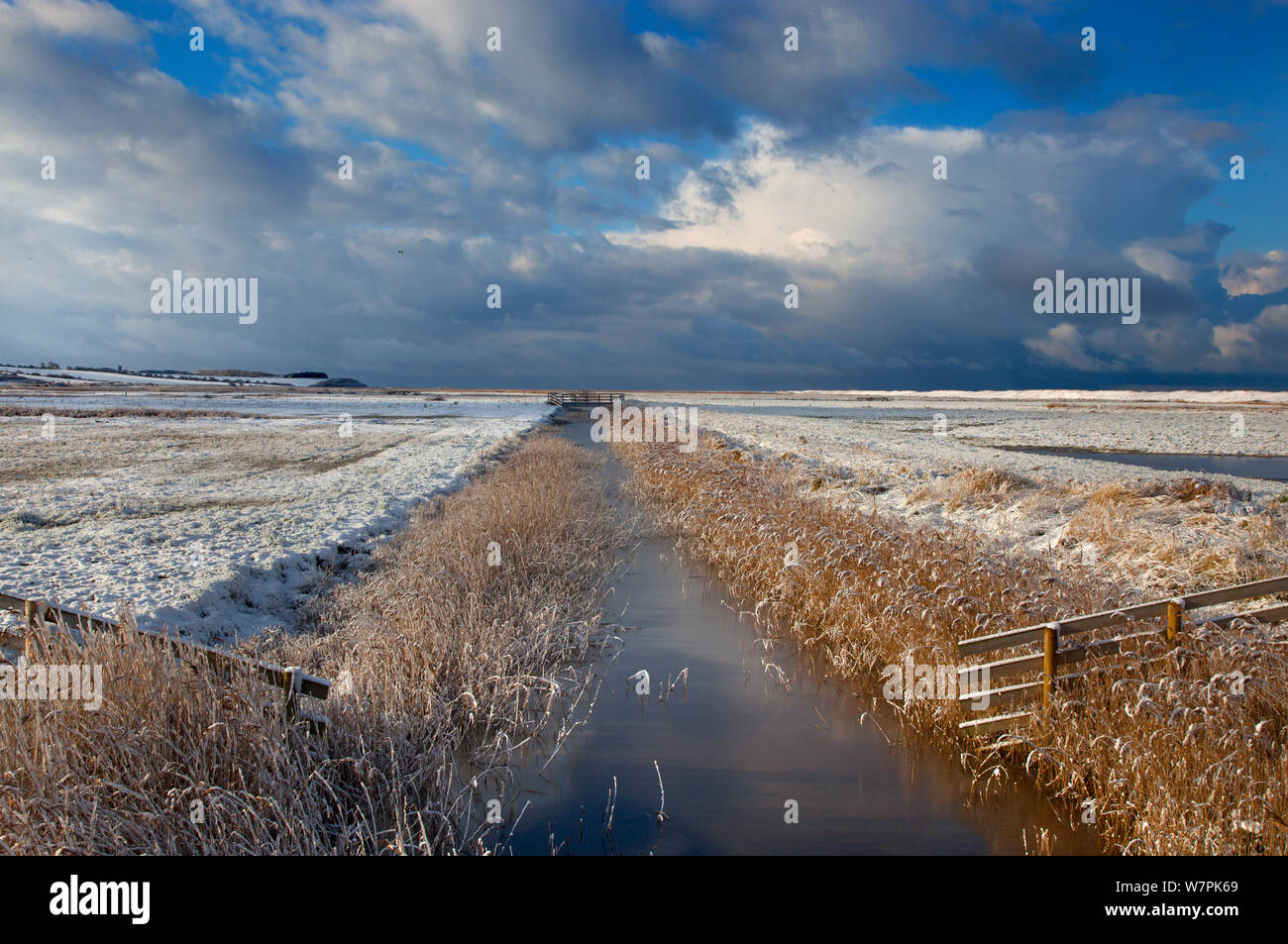 Drainage dyke and grazing marshes in snow, Salthouse marshes, Norfolk, January 2013 Stock Photo