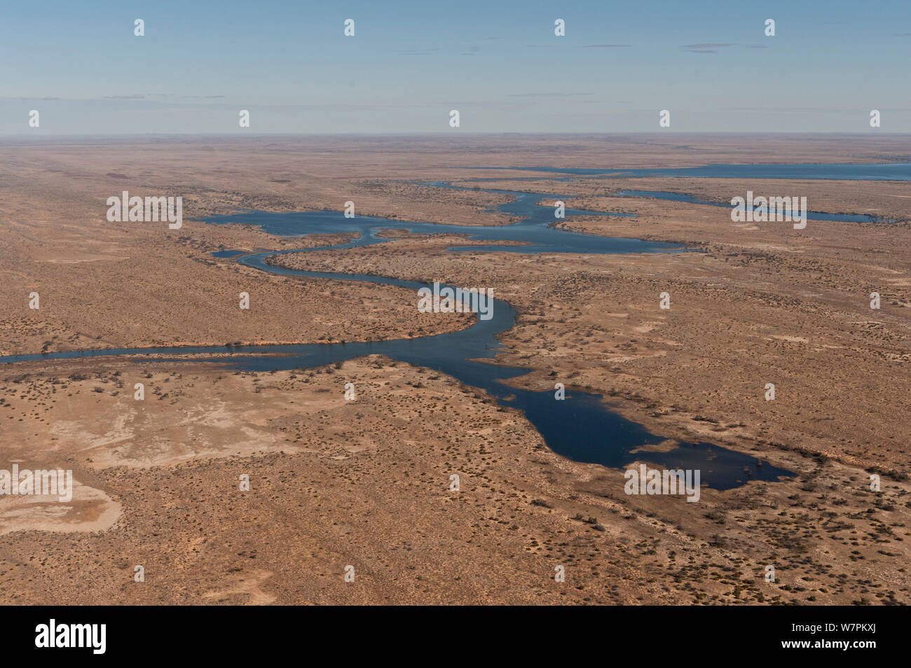 Aerial view of the meandering waters of Cooper Creek. South Australia, July 2011 Stock Photo