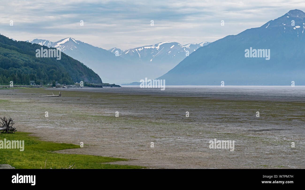 the mudflats and tide flats in turnagain arm of the cook inlet in Alaska with rugged mountains in the background Stock Photo